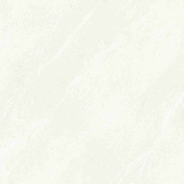 Dhara White Matte 48 x 48